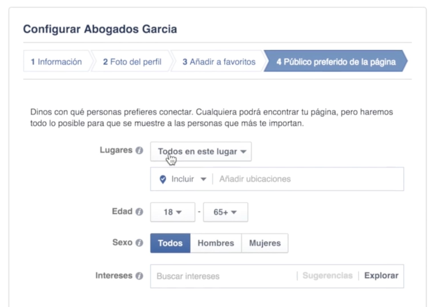 convertclick publico objetivo pagina fans facebook